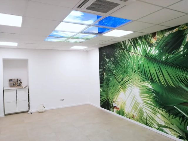 MOE Sud-Corse - Réalisation de bureaux commerciaux