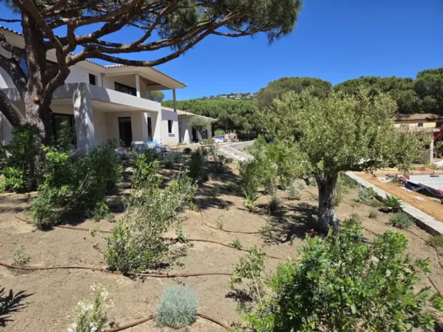 MOE Sud-Corse - Construction Maison de prestige