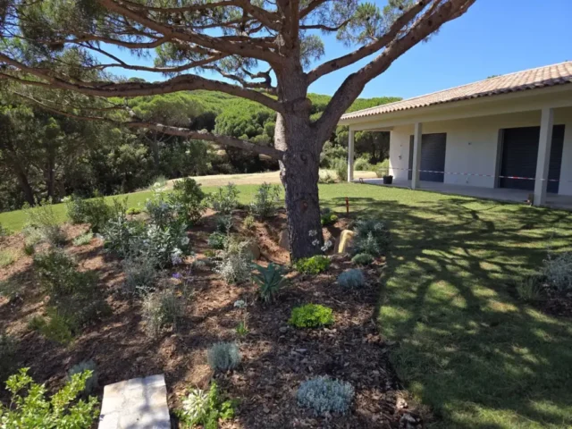 MOE Sud-Corse - Construction Maison de prestige